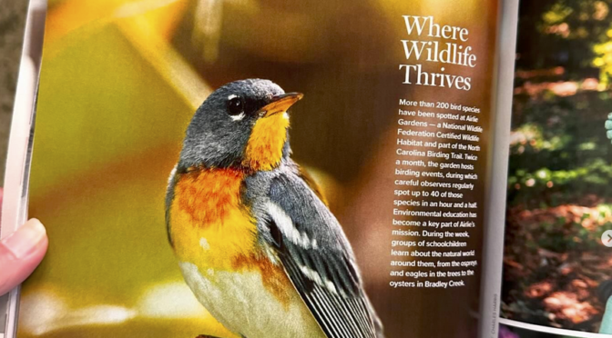 Best Life Birding in Our State magazine